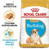 Royal Canin Bulldog Puppy hrana uscata caine junior