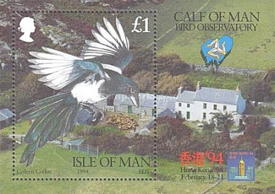 Isle of Man 1994 - ornitologie, pasari, colita neuzata foto
