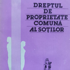 Dreptul De Proprietate Comuna Al Sotilor - Dumitru Lupulescu ,559600