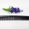 Pieptene Carbon 6500