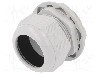 Presetupa poliamida, M63, IP68, RITTAL - 2411.671