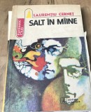 LITR24 Fantastic club - Salt in Maine - Laurentiu Cernet
