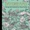 Daydreams Coloring Book: Originally Published in Sweden as &quot;&quot;Dagdrommar&quot;&quot;