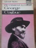 Pe Urmele Lui George Cosbuc - Lucian Valea, 1986, Editura Sport-Turism, Biografii
