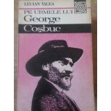 PE URMELE LUI GEORGE COSBUC-LUCIAN VALEA-93569