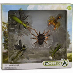 Set 5 figurine Insecte - Collecta