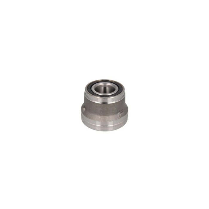 Set rulment roata IVECO DAILY II platou sasiu FAG 713 6908 50
