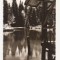 AT5 -Carte Postala-AUSTRIA- Moorsee auf dem Bodele, circulata 1969