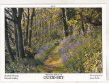 bnk cp Guernsey - Vedere - necirculata