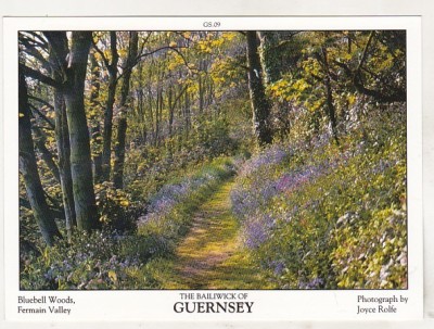 bnk cp Guernsey - Vedere - necirculata foto