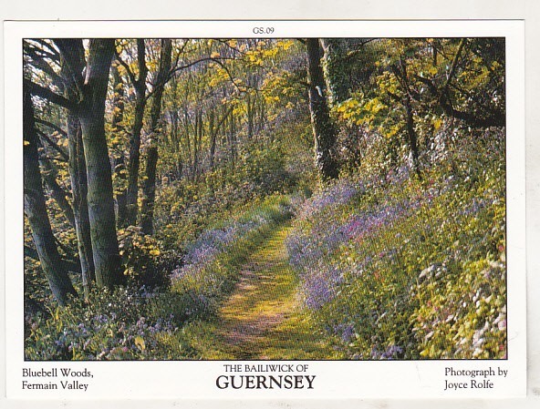 bnk cp Guernsey - Vedere - necirculata
