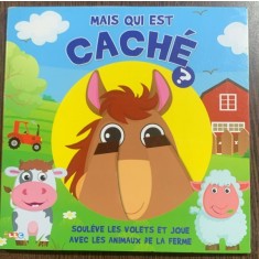 Mais qui est cache? (Dar cine se ascunde? - carte in limba franceza)