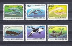 M2 CNL1 - Timbre foarte vechi - Guineea Bissau - fauna marina foto