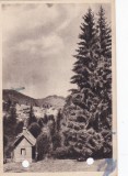 AMS - ILUSTRATA 1302, PREDEAL-CIOPLEA - VEDERE, ANUL 1955, cu perforari