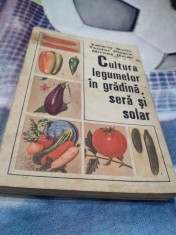 CULTURA LEGUMELOR IN GRADINA,SERA SI SOLAR-ZAHARIA SUCIU