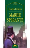 Marile Sperante - Charles Dickens, Editura Leda 2007, Roman Cartonat, Stare Buna - 572 Pagini
