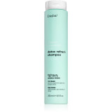 Erayba Detox Refresh șampon cu efect antioxidant 250 ml