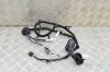Cablaj ușă dreapta spate TESLA MODEL 3 2019 OEM: 3067966-00-A 17510526