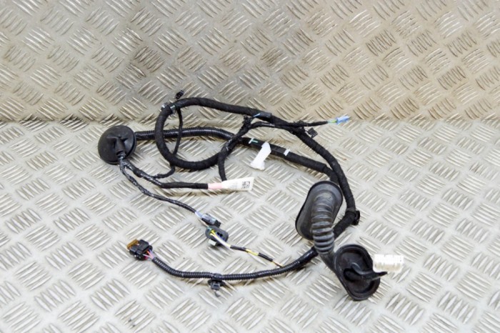 Cablaj ușă dreapta spate TESLA MODEL 3 2019 OEM: 3067966-00-A 17510526