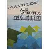 Laurentiu Duican - Prin labirintul geometriei (editia 1990)
