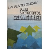 Laurentiu Duican - Prin labirintul geometriei (Editia: 1990)