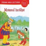 Prima mea lectura. Motanul incaltat. Nivelul 1 Carte cu pictograme