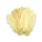 Set 20 pene decorative gasca Kyrra, lungime 15 -21 cm, Vanilie