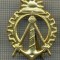 Y 1737 INSIGNA - MILITARA -SEMN DE ARMA - INGINER GENIU -PENTRU COLECTIONARI
