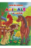 Animale de la ferma - Carte de colorat