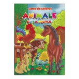 Animale de la ferma - Carte de colorat