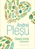 Despre inimă și alte eseuri - Hardcover - Andrei Pleșu - Humanitas