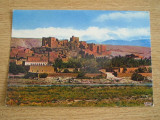 BVS - MAROC