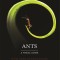 Ants: A Visual Guide