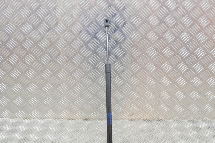 Amortizor capota st&acirc;nga față TESLA MODEL S 2017 OEM: 1062634-00-A 13584892
