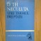 e0c Spre tarmul dreptatii- D.Th. Neculuta