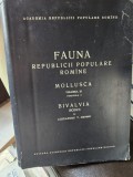 Fauna Republicii Populare Romane - Vol. III Fascicula 3 - Mollusca - Bivalvia - Alexandru V. Grossu