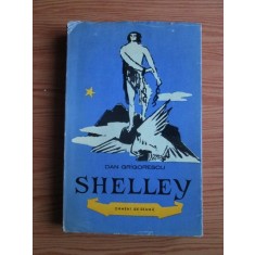 Dan Grigorescu - Shelley