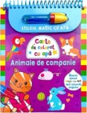 Stiloul magic cu apa. Animale de companie - Editura Flamingo Junior