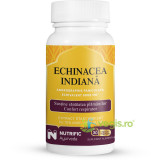 Echinacea Indiana 30cps