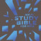 NKJV Study Bible for Kids Grey/Blue Cover: The Premiere NKJV Study Bible for Kids