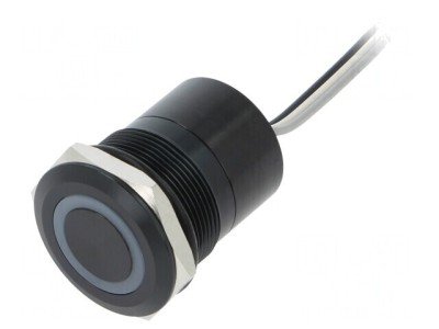 Comutator Capacitiv 2 Pozitii SPST-NO 12V IP68 foto