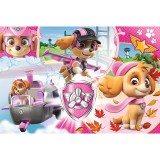Puzzle 100 piese - Skye in actiune | Trefl