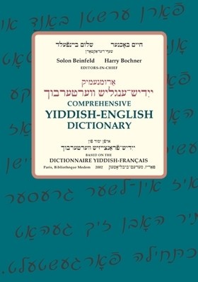 Comprehensive Yiddish-English Dictionary foto