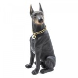 Boxa portabila Doberman, 10W, bluetooth