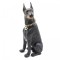 Boxa portabila Doberman, 10W, bluetooth