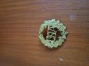 Insigna OSTA
