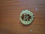 insigna OSTA