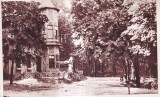 In parcul Trivalea. Pitesti (scrisa 1946)