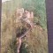 CPIB 23133 CARTE POSTALA - CETATEA DE LA POIENARI, JUD. ARGES, NECIRCULATA