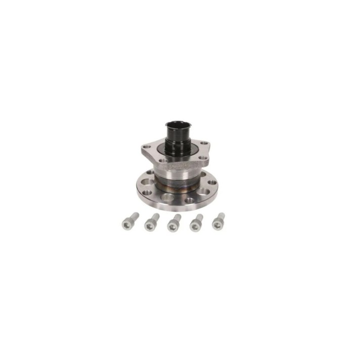 Set rulment roata VW PASSAT Variant 3B5 FAG 713 6105 00